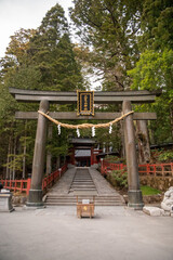 japanese temple torii in the woods