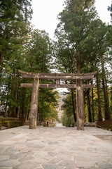 japanese temple torii in the woods