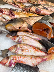 Fresh seafood display at a bustling market in the early morning hours