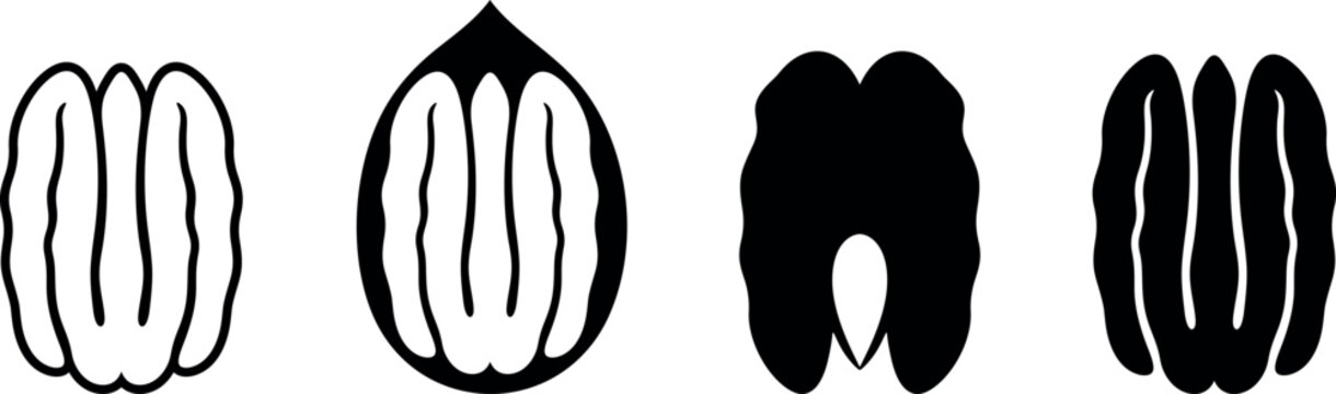 Pecan nut logo. Isolated pecan nut on white background