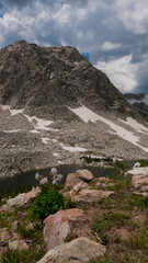 Spring in the Snowy Range mountains in Wyoming with flowers in the foreground and Mirror Lake in the distance
