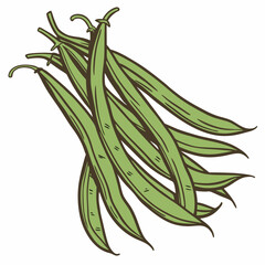 rosemary isolated on white background