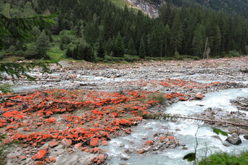 Obersulzbach River with its red stones near Neukirchen am Grossvenediger. Austria, Europe.