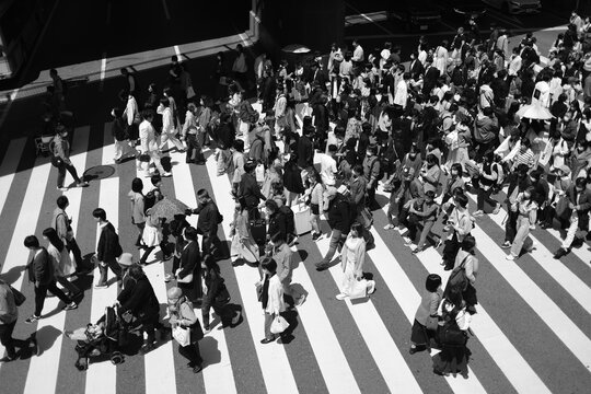 Fototapeta People crossing the street in Osaka black and white in high angle view