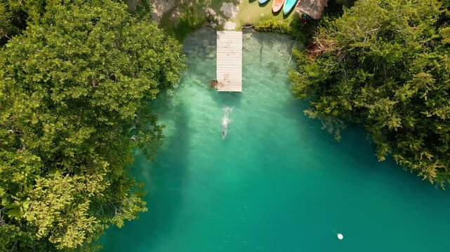 Toma a&eacute;rea de dron de joven y atractiva mujer caminando sobre un muelle y nadando en las calmadas aguas color turquesa de Bacalar, M&eacute;xico.