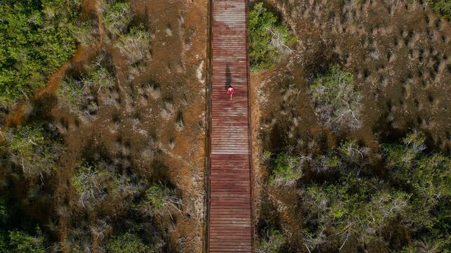 Toma a&eacute;rea de dron de joven y atractiva mujer en vestido rojo, caminando sobre un muelle de madera, entre manglares del Parque Ecol&oacute;gico de Bacalar en M&eacute;xico.