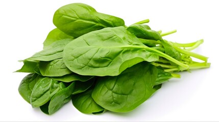 Obraz premium Malabar Spinach: Fresh and Healthy Green Vegetable, Isolated on White Background