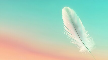 Obraz premium a white feather on a blue and pink backdrop with a hazy sky as the background