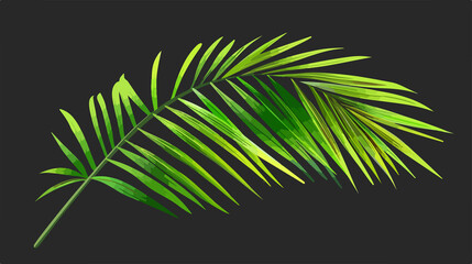 Palm Leaf Isolated Icon Vector Style Design