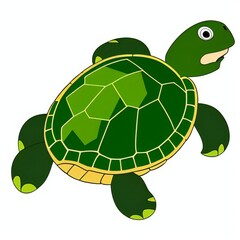 Obraz premium Turtle vector