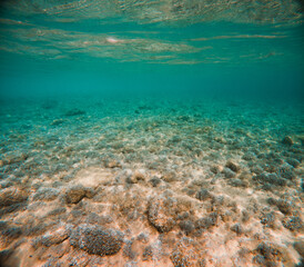 Kroatien Strand Unterwasser 