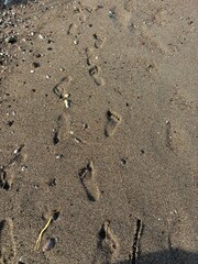 footsteps in the sand