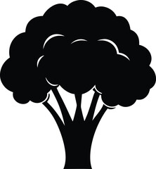 Broccoli  in cartoon style on a white background. Vector illustration.