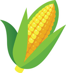 Obraz premium corn in cartoon style on a white background. Vector illustration.