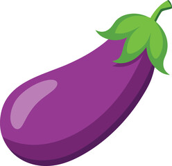 eggplant vector with white background