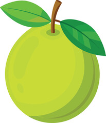 guava fruit vector with white background