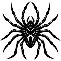 Intricate Black and White Spider Vector Illustration