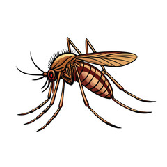 A detailed vector illustration of a mosquito with emphasis on the proboscis.