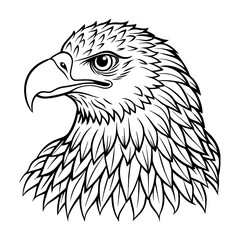 Hand-drawn eagle flying drawing illustration