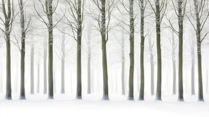 Fototapeta premium A cluster of trees amidst snowfall, displaying pure white snow on the surrounding terrain and tree tops prominently positioned in the foreground