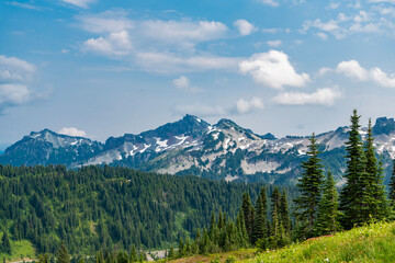 Scenery autumn countryside. Tahoma mountain landscape with forest. Mount Rainier mountain landscape. Forest nature. Nature in mountain countryside. Scenery landscape of mountain. Breathtaking view