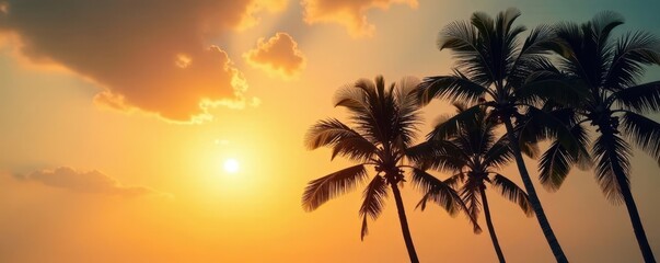 Tall coconut palms silhouetted against a blazing sun and cloudless sky , view, exotic, ocean