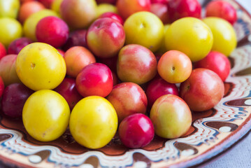Yellow and red plums  in traditional Bulgarian  plate