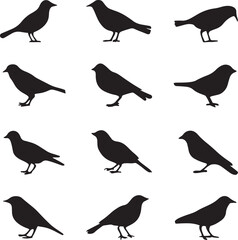 Silhouette birds icon vector illustration set collection