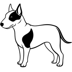 Bull Terrier Silhouette Vector on White Background