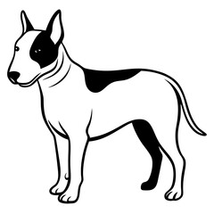 Bull Terrier Silhouette Vector on White Background