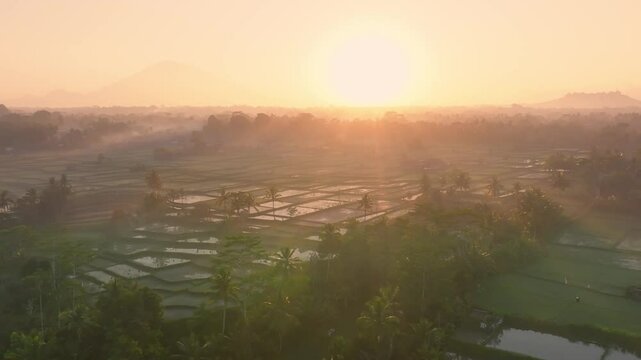 Magical sunrise aerial view of Bali field covered with mist, Indonesia