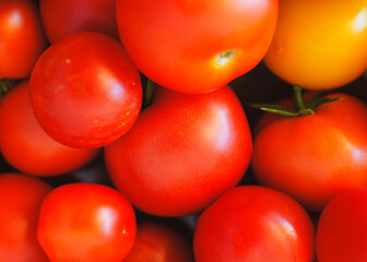 Fresh Farm Tomatoes Close Up