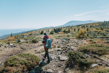 Obraz premium Senior Man walking in the autumn mountain . Vitosha mountain, ,Bulgaria