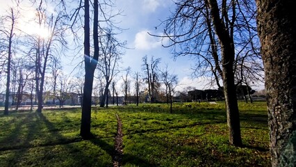 Camino atravesando bosque otoñal un día soleado en Burgos, España