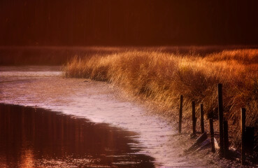 Ice along the banks of West Fowl River in Coden Alabama, rare Southern snow ice storm