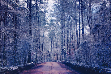 Snowy dirt road scenic drive in Tuscaloosa Alabama, rare Southern snow, concept of winter travel, or driving in snow