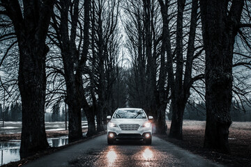 Fototapeta premium Silver Car on Wet Road Amid Tall Leafless Trees Under Overcast Sky