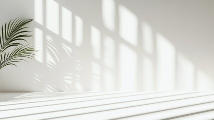 Obraz premium Minimalist White Room Palm Leaf Shadow Display