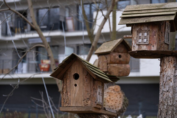 A series of wooden birdhouses on tree trunks, each uniquely designed with rustic charm.