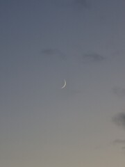 moon