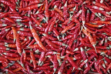 red hot chili peppers