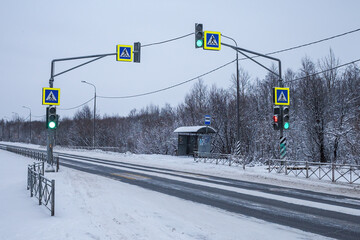 crosswalk the road in the middle of the forest on a winter day with a blizzard in overcast weather