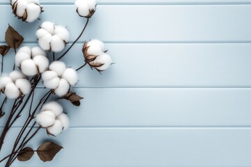 Obraz premium Beautiful cotton flowers and branches sit on a light blue background, perfect for designs