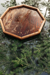 The branches of a spruce tree submerged in a container of hot water