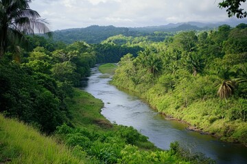 River flows through lush green tropical landscape.
