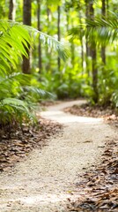 Serene forest pathway amid lush greenery and sunlight