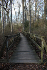 old bridge in the woods
