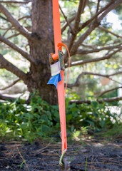 Orange tightening belt for tensioning trees. Gardening tools in the garden. Gardening concept. Selective focus.