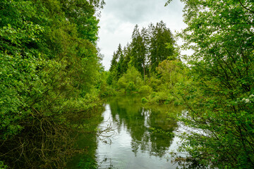 Quiet lake in Pflach bird sanctuary, Austria