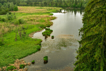 River through the lush green of the bird sanctuary Pflach, Austria